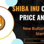 Shibainu Current Price Analysis
