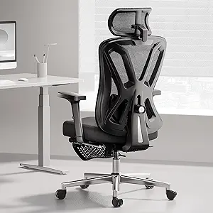 Hbada Ergonomic Office Chair 