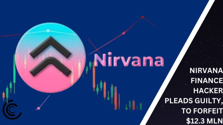 Nirvana Finance Hacker Pleads Guilty, To Forfeit $12.3 Mln