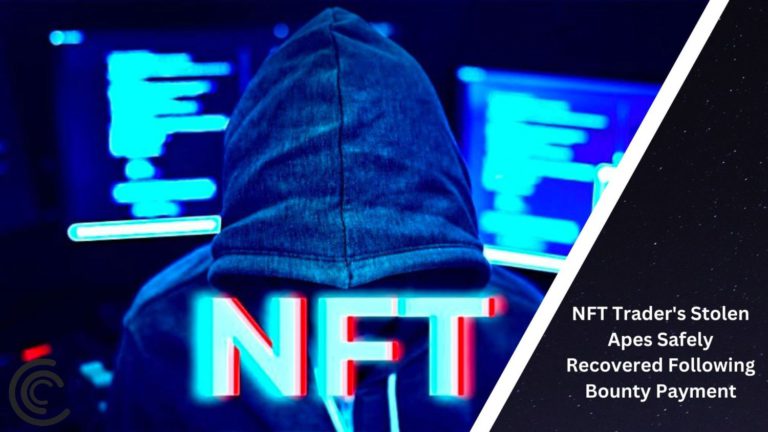 Nft Trader'S Stolen Apes Safely Recovered Following Bounty Payment