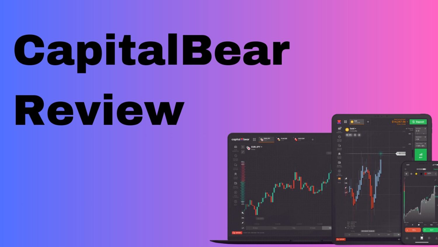 Capitalbear Review