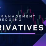 Risk Management and Hedging with Derivatives