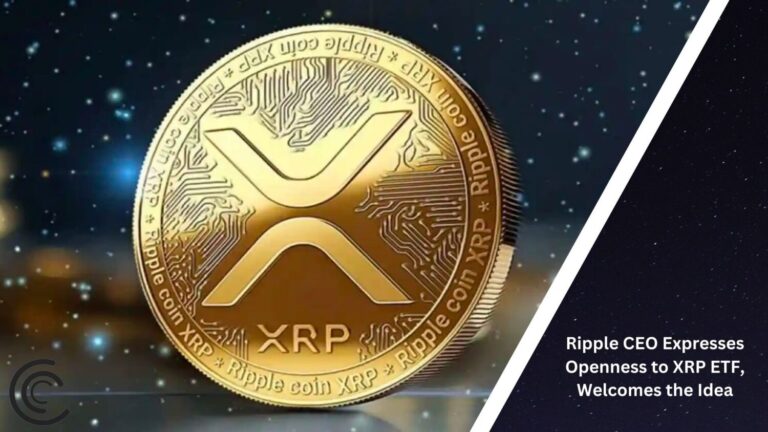 Ripple Ceo Expresses Openness To Xrp Etf, Welcomes The Idea