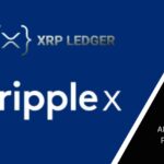 RippleX Reveals Technical Glitch Affecting AMM Pools on XRP Ledger