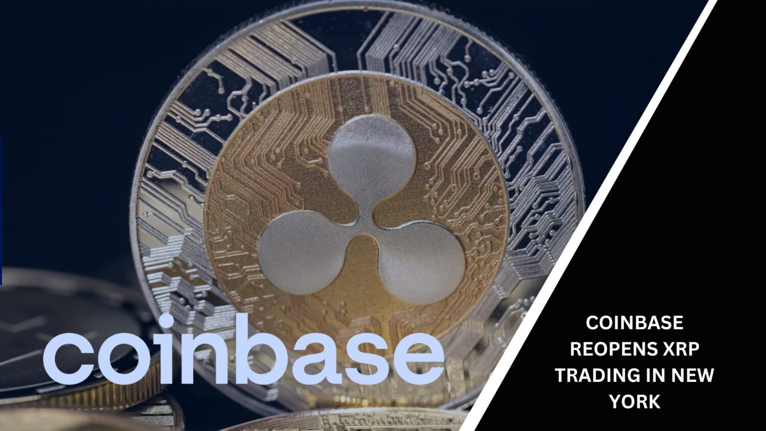 Coinbase Reopens Xrp Trading In New York