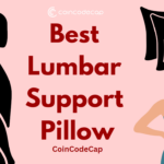 best lumbar support pillow