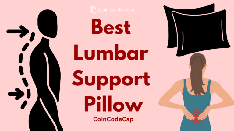 Best Lumbar Support Pillow