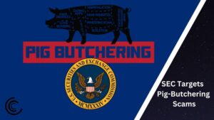 SEC Targets Pig-Bitchering Scam, Sues NanoBit and CoinW6 for $2 Million Scam