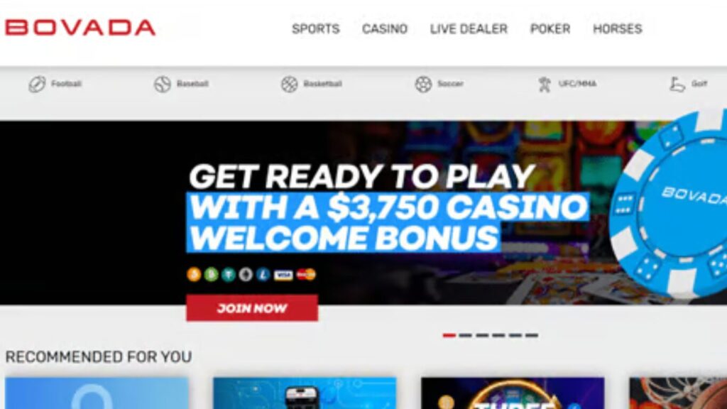 Looking for the best online casinos in South Carolina?