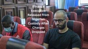 Tigran Gambaryan Released from Nigerian Custody After Charges Dropped