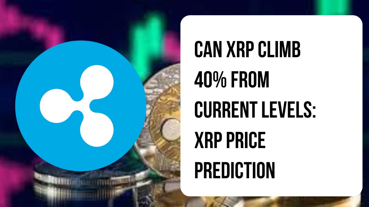 Xrp Price Analysis