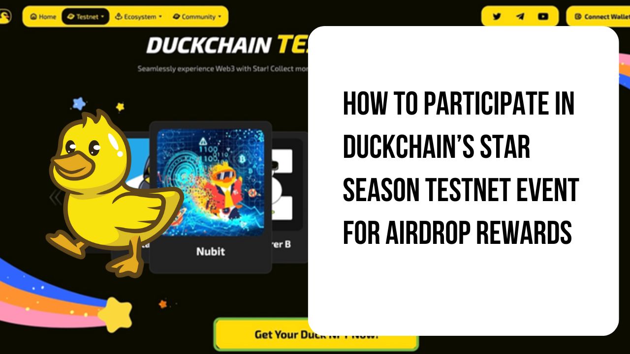 Duckchain Airdrop: How To Earn From Duckchain Airdrop