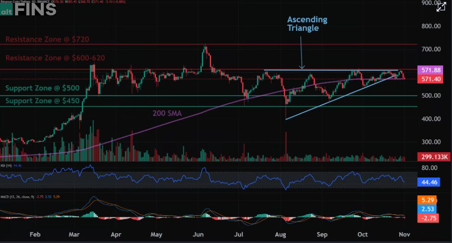 Bnb Crypto Price Analysis