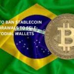 Brazil To Ban Stablecoin Withdrawals to Self-Custodial Wallets