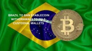 Brazil To Ban Stablecoin Withdrawals to Self-Custodial Wallets