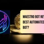 Maestro Bot Review