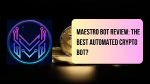 Maestro Bot Review