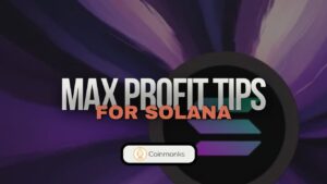 Maximise Profits on Solana