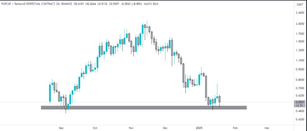 POPCAT Price Prediction for 2025