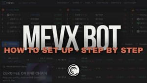 How to Set Up and Use MEVX A Step by Step Guide