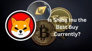Is Shiba Inu the Best Buy Currently?