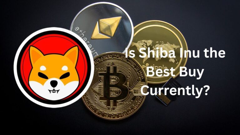 Is Shiba Inu the Best Buy Currently?