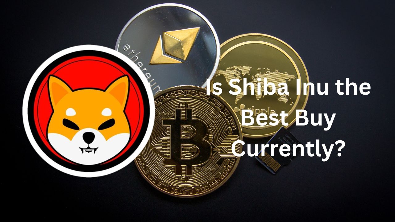 SQL Commands | DDL, DQL, DML, DCL and TCL Commands 4 Is Shiba Inu the Best Buy Currently?