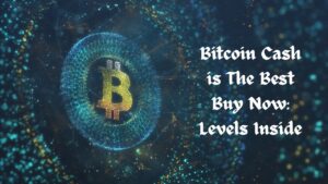 Bitcoin Cash Next Target