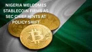Nigeria Welcomes Stablecoin Firms as SEC Chief Hints at Policy Shift
