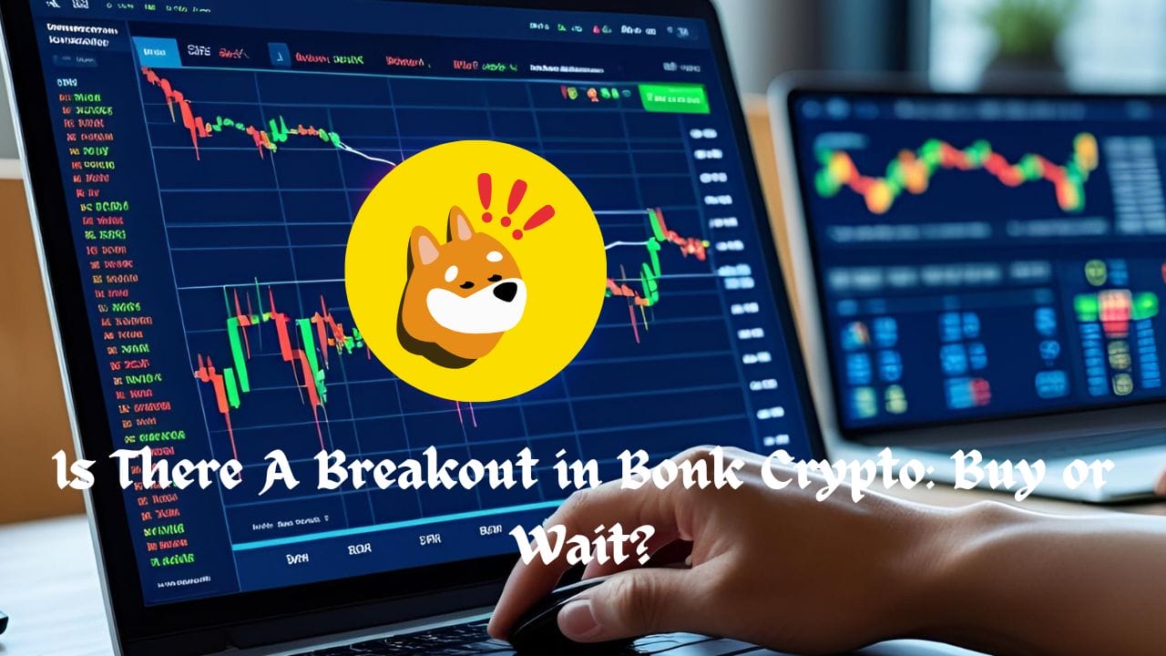 Is There A Breakout in Bonk Crypto: Buy or Wait?