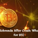 Bitcoin Rebounds After Crash: What's Next For BTC