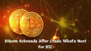 Bitcoin Rebounds After Crash: What's Next For BTC