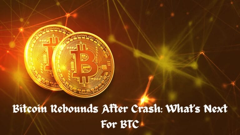Bitcoin Rebounds After Crash: What's Next For BTC