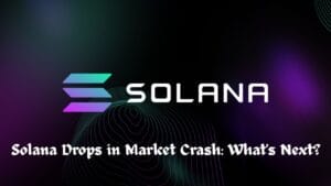 Solana Drops in Market Crash: What's Next?