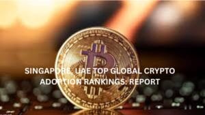 Singapore, UAE top global crypto adoption rankings: Report