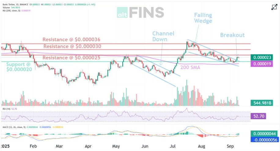 Bonk Crypto Next Target
