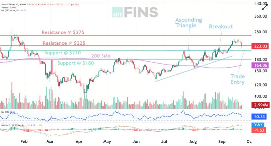 Solana Drops in Market Crash: What's Next? 1 Solana Next Target