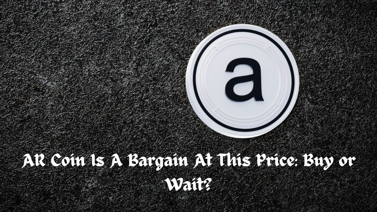AR Coin Is A Bargain At This Price: Buy or Wait?