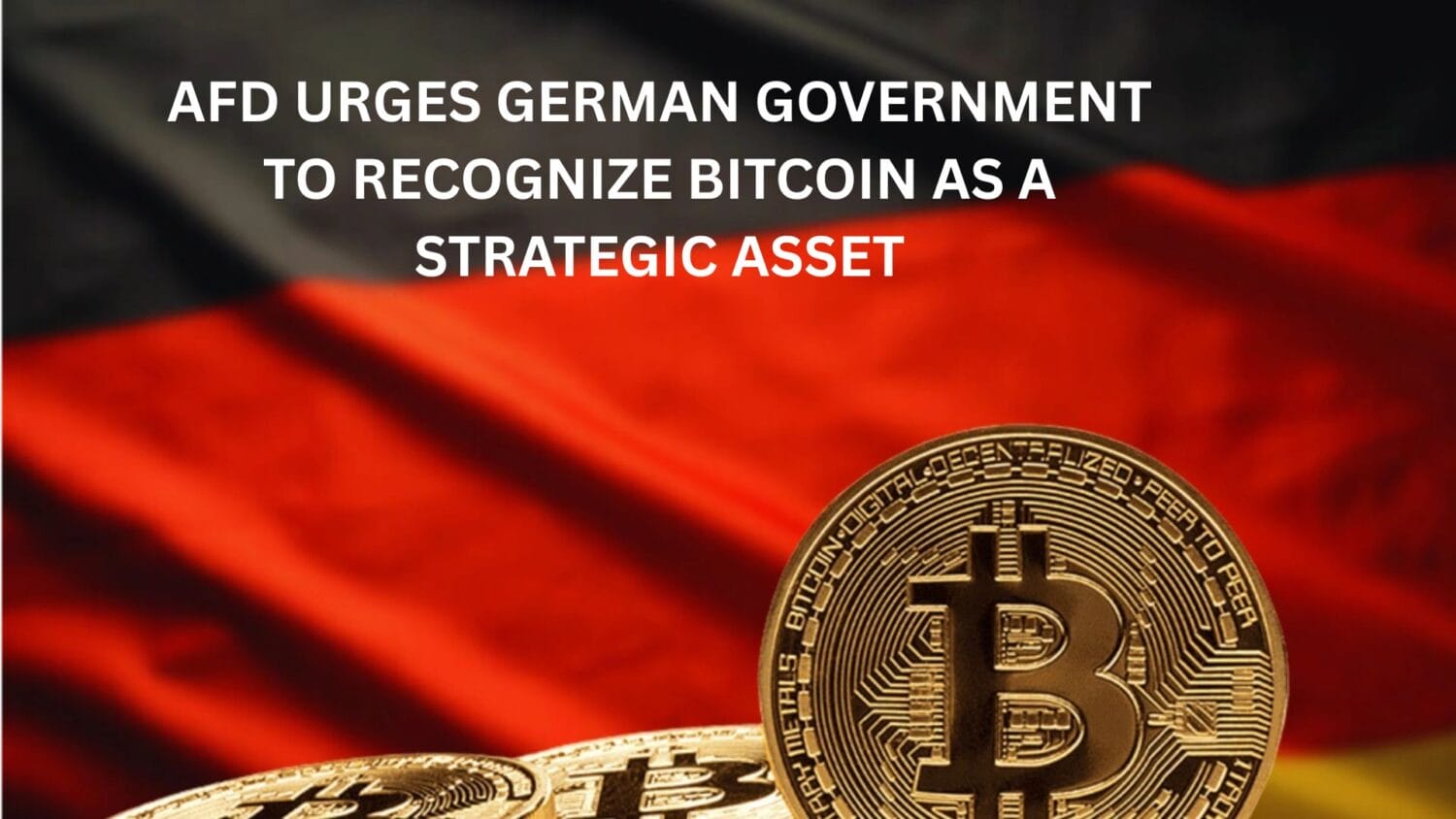 AfD Urges German Government to Recognise Bitcoin as a Strategic Asset