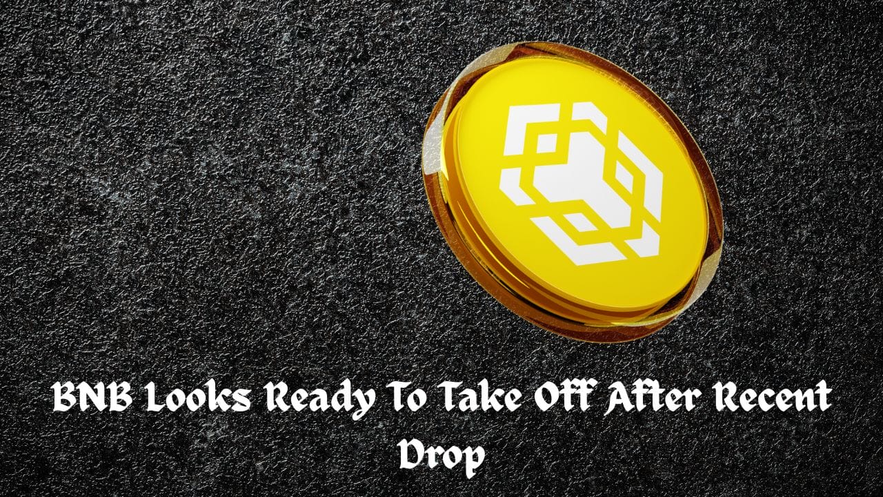 BNB Looks Ready To Take Off After Recent Drop: Buy Now?