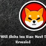 When Will Shiba Inu Rise: Next Targets Revealed