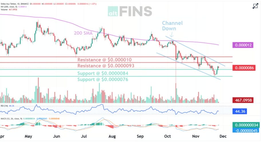 Shiba Inu Next Target