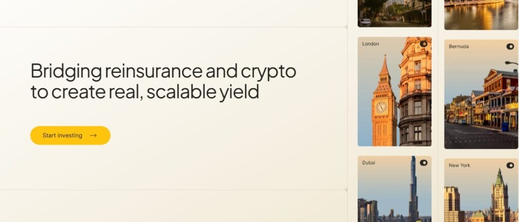 OnRe Review: Must Try Now!