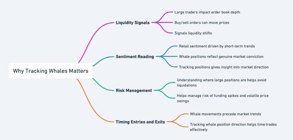 Screenshot Of Hyperliquid Whale Tracker - How To Track Top Traders On Hyperliquid?