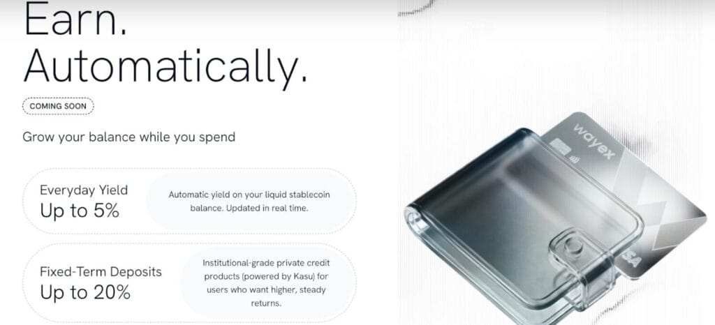 Screenshot Of Wayex Card Review - Spend Crypto Anywhere Now