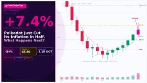 Polkadot Just Cut Its Inflation in Half